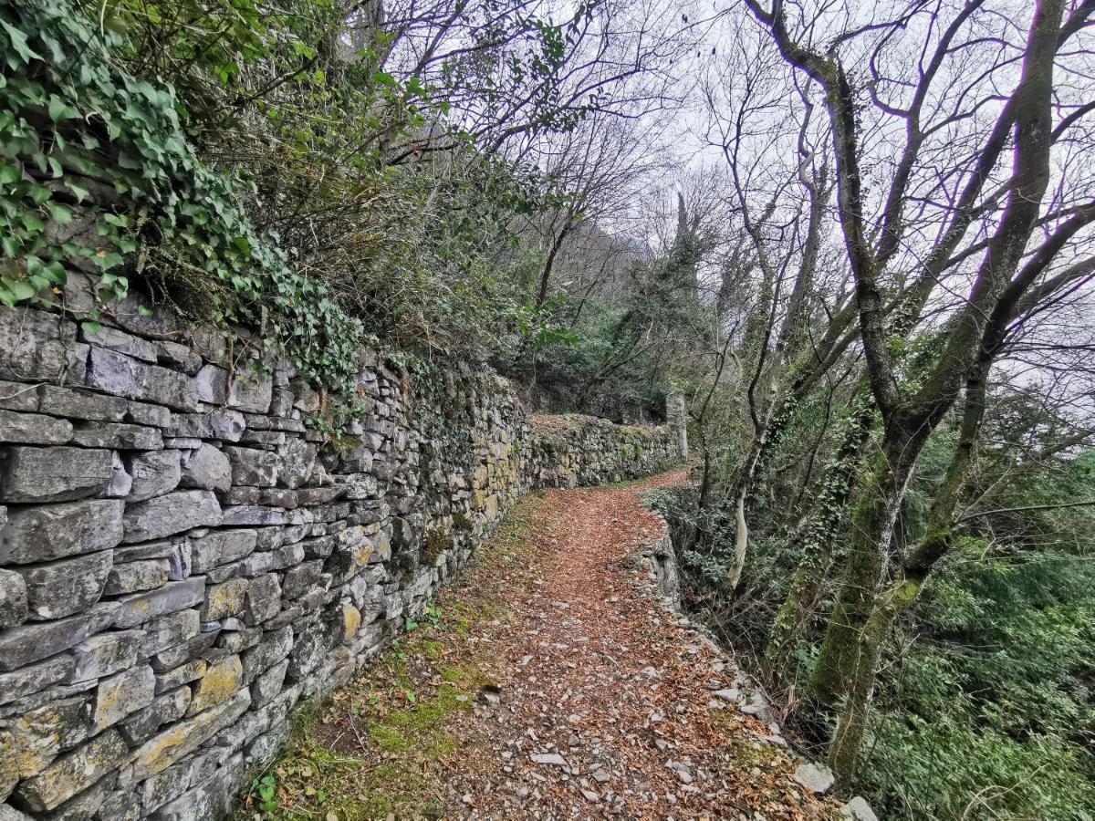 ורנה Near Villa Monastero And Castello Di Vezio מראה חיצוני תמונה